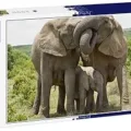 Ver categoría de puzzles de elefantes