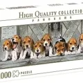 Ver categoría de puzzles de beagles