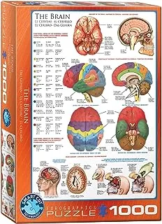 Ver categoría de puzzles de cerebros