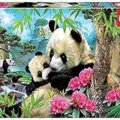 Ver categoría de puzzles de pandas