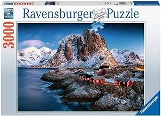 Ver categoría de puzzles de ravensburger de 3000 piezas